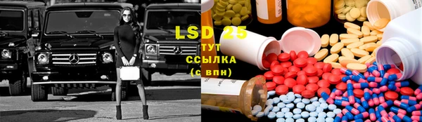 гидра Ельня