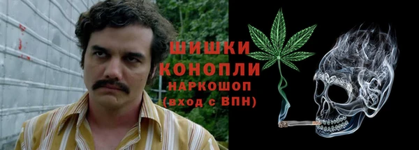 PSILOCYBIN Заволжье