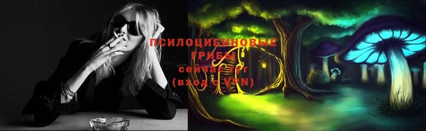 PSILOCYBIN Заволжье