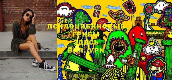 PSILOCYBIN Заволжье