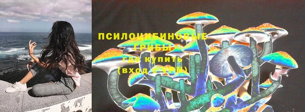 mdpv Заволжск