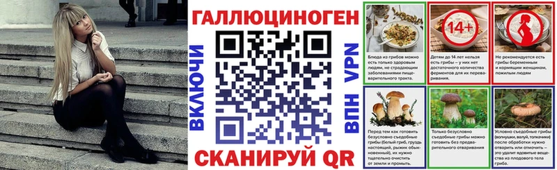 Галлюциногенные грибы мухоморы  даркнет сайт  Ессентуки 